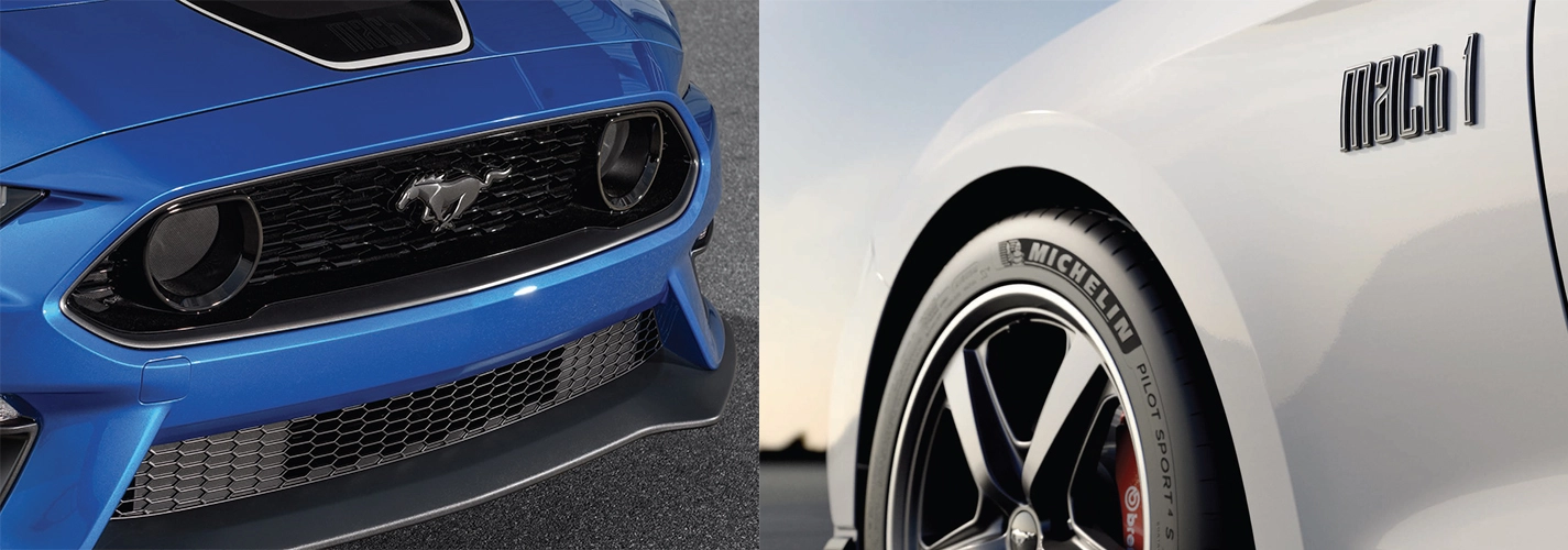 2021-ford-mustang-mach-1-features-2-car-back-catalogue-1