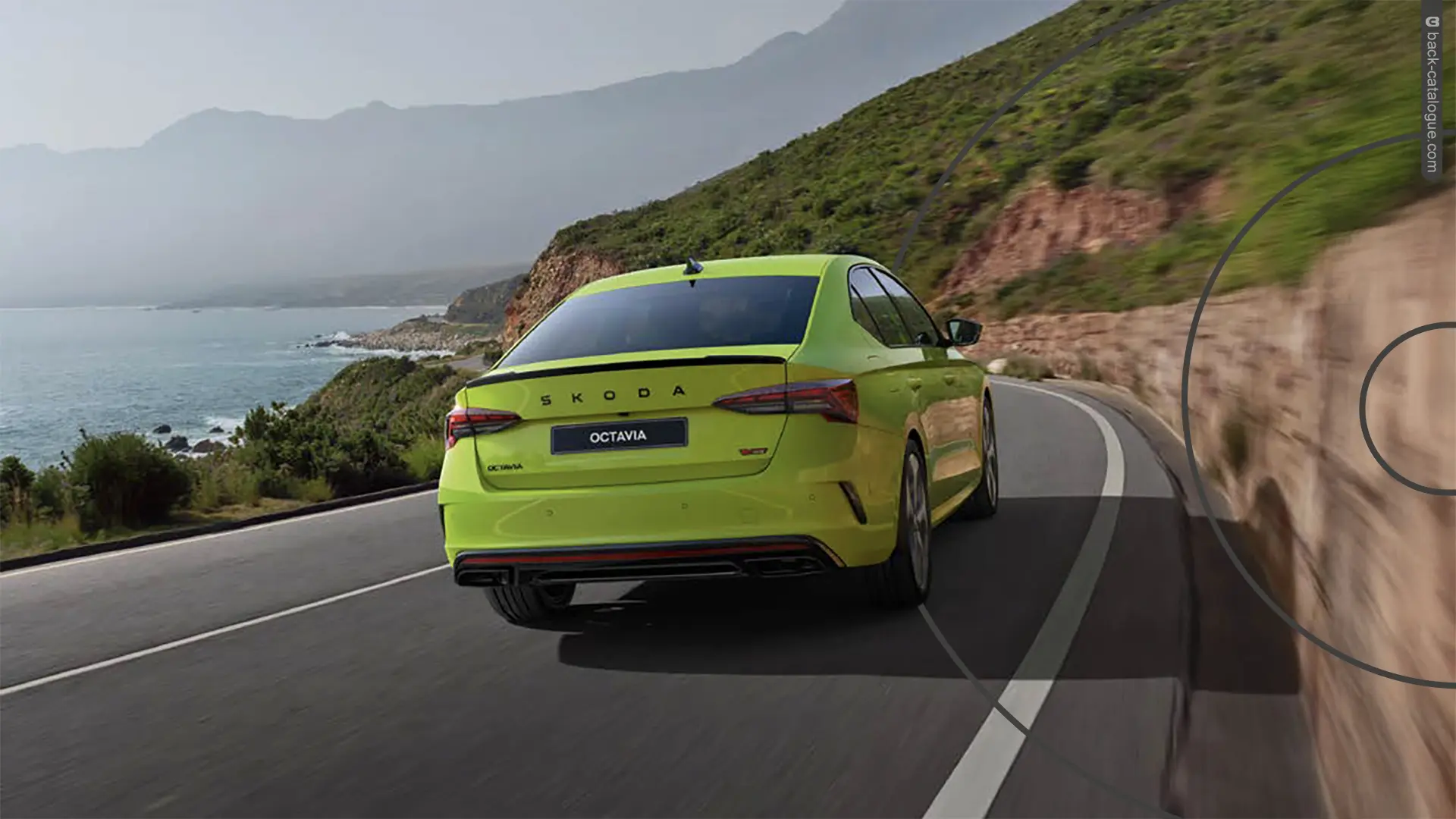 2025-skoda-octavia-vrs-rear-car-back-catalogue